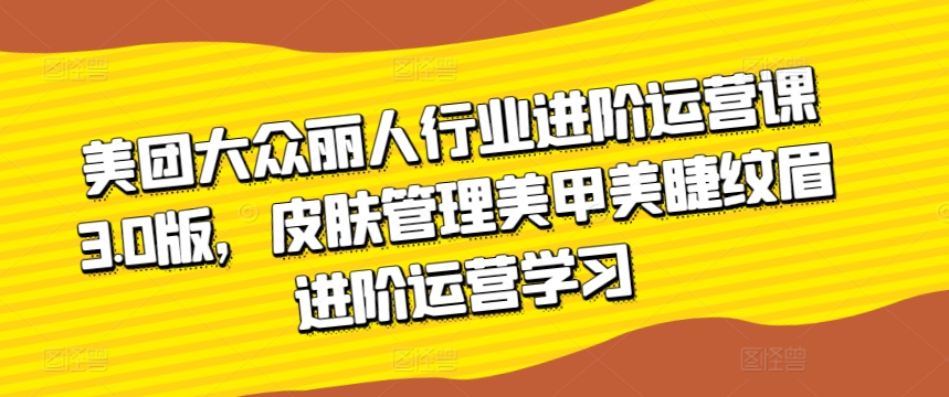美团大众丽人行业进阶运营课3.0版，皮肤管理美甲美睫纹眉进阶运营学习-易购网创