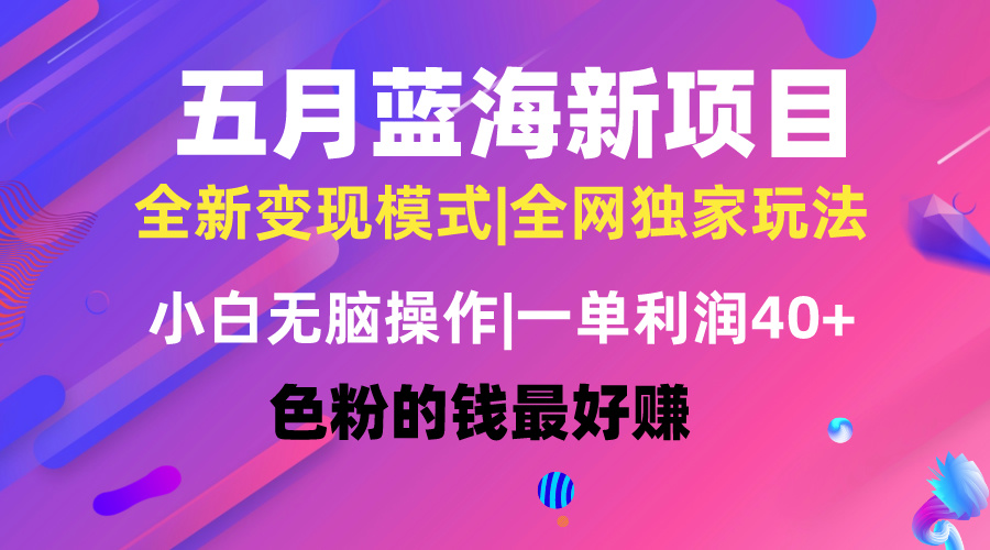 五月蓝海项目全新玩法，小白无脑操作，一天几分钟，矩阵操作，月入4万+-易购网创