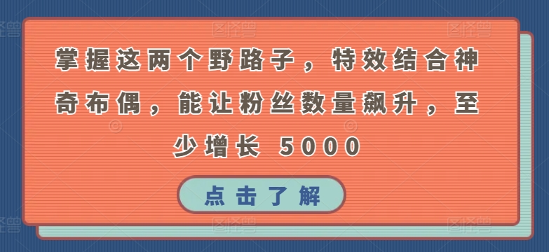 掌握这两个野路子，特效结合神奇布偶，能让粉丝数量飙升，至少增长 5000-易购网创