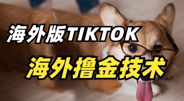 抖音海外版tiktok撸金技术，这个风口行业，赚钱真的不难-易购网创