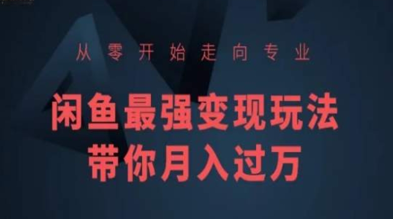 从零开始走向专业，闲鱼最强变现玩法带你月入过万-易购网创