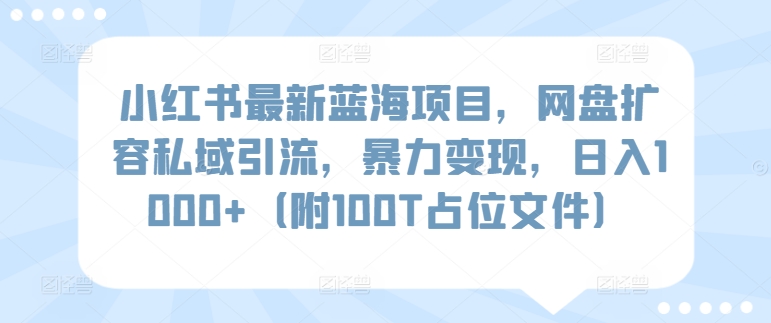 小红书最新蓝海项目，网盘扩容私域引流，暴力变现，日入1000+（附100T占位文件）-易购网创