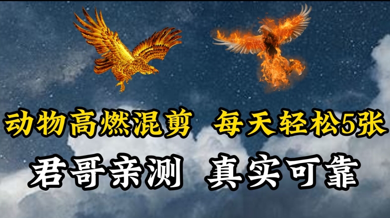 动物超燃混剪，每天轻松5张，剪辑简单大家爱看-易购网创
