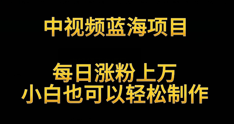 中视频蓝海项目，解读英雄人物生平，每日涨粉上万，小白也可以轻松制作，月入过万不是梦-易购网创
