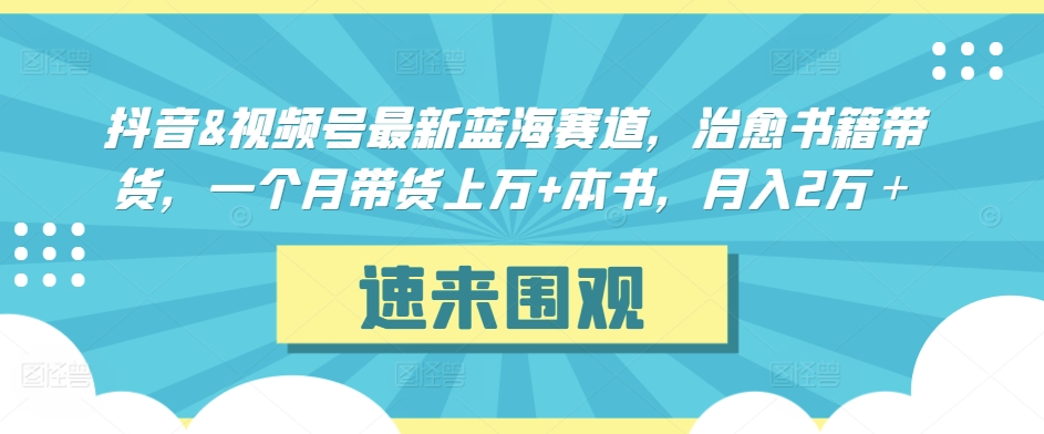 抖音&视频号最新蓝海赛道，治愈书籍带货，一个月带货上万+本书，月入2万＋-易购网创