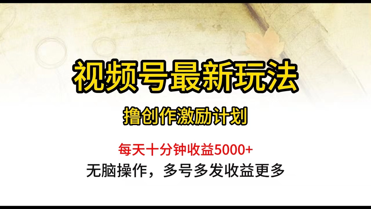 视频号最新玩法，每日一小时月入5000+-易购网创