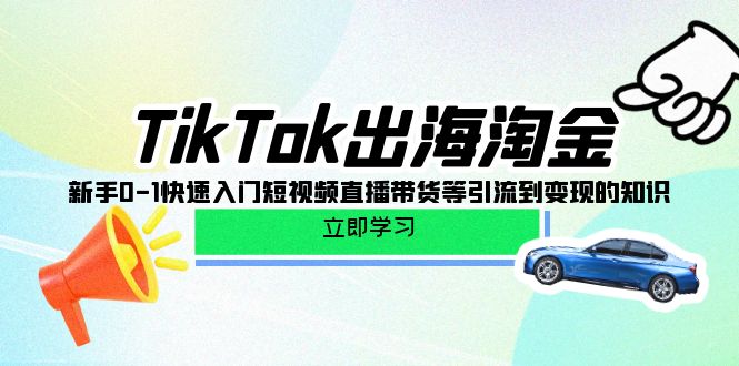 TikTok-出海淘金，新手0-1快速入门短视频直播带货等引流到变现的知识-易购网创