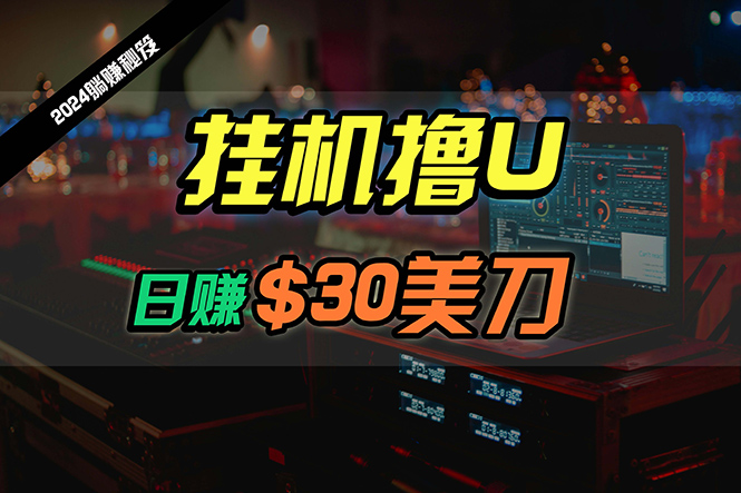 日赚30美刀，2024最新海外挂机撸U内部项目，全程无人值守，可批量放大-易购网创
