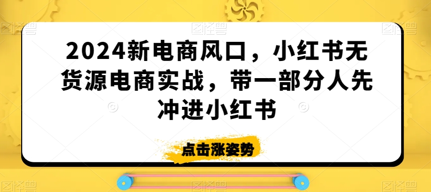 2024新电商风口，小红书无货源电商实战，带一部分人先冲进小红书-易购网创