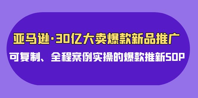 亚马逊30亿·大卖爆款新品推广，可复制、全程案例实操的爆款推新SOP-易购网创