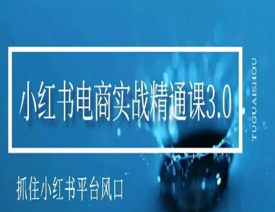 小红书电商实战精通课3.0，抓住小红书平台的风口，不错过有一个赚钱的机会-易购网创