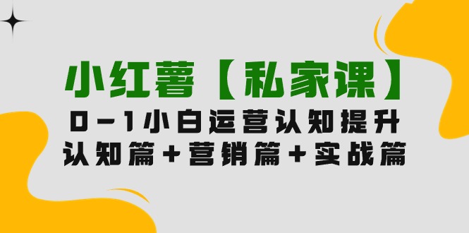 小红薯【私家课】0-1玩赚小红书内容营销，认知篇+营销篇+实战篇（11节课）-易购网创