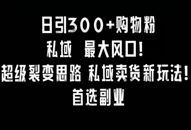 日引300+购物粉，超级裂变思路，私域卖货新玩法，小红书首选副业-易购网创