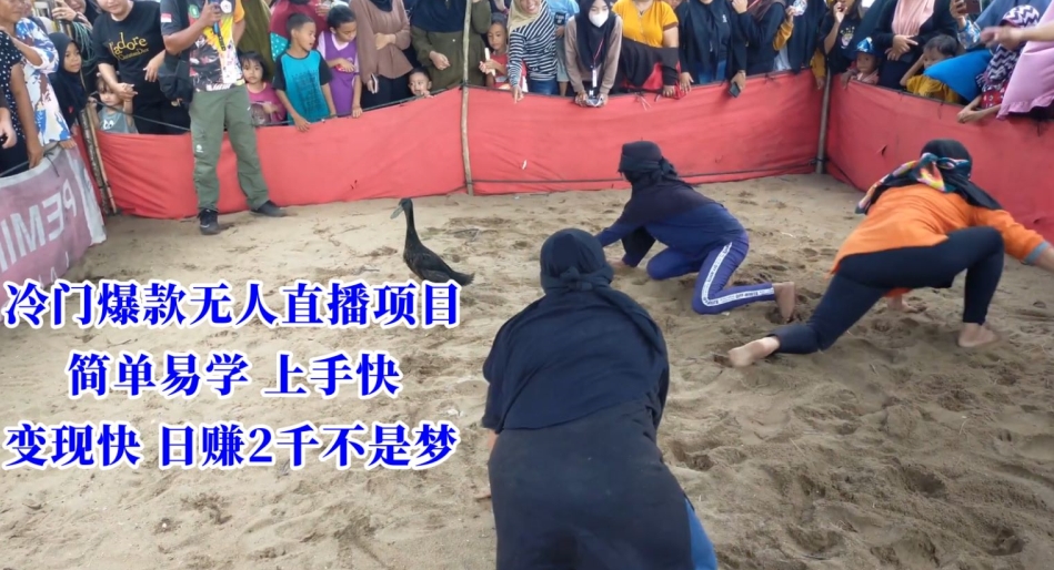 冷门爆款无人直播项目，简单易学上手快，变现快日赚2千不是梦-易购网创