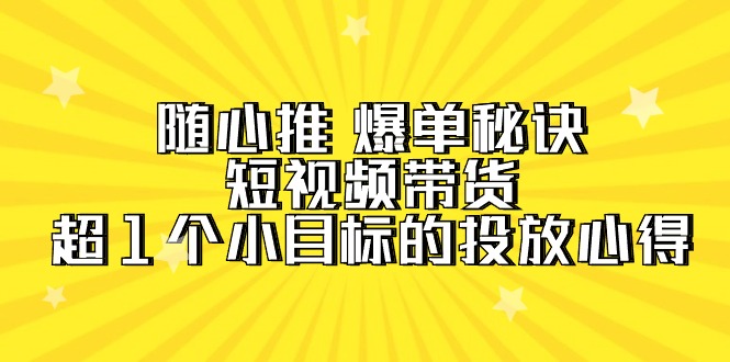 随心推 爆单秘诀，短视频带货-超1个小目标的投放心得（7节视频课）-易购网创