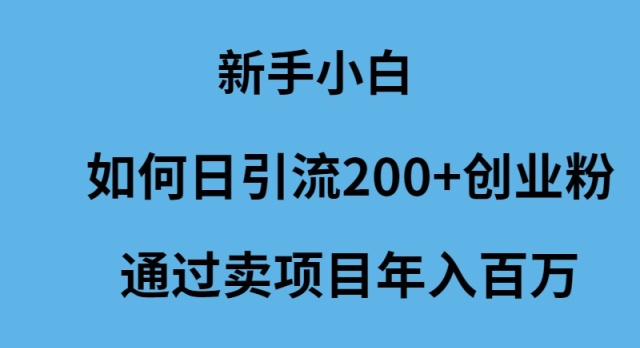 新手小白如何日引流200+创业粉通过卖项目年入百万-易购网创