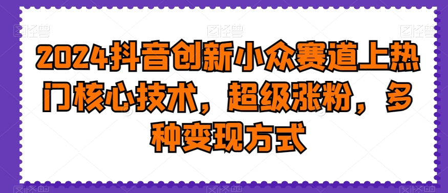 2024抖音创新小众赛道上热门核心技术，超级涨粉，多种变现方式-易购网创