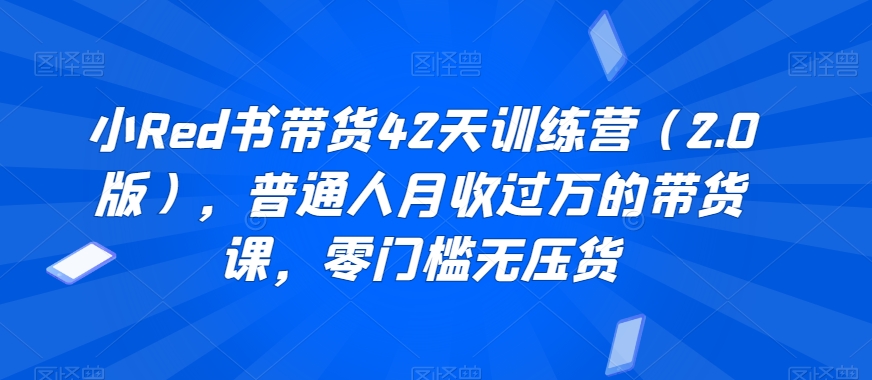 小Red书带货42天训练营（2.0版），普通人月收过万的带货课，零门槛无压货-易购网创