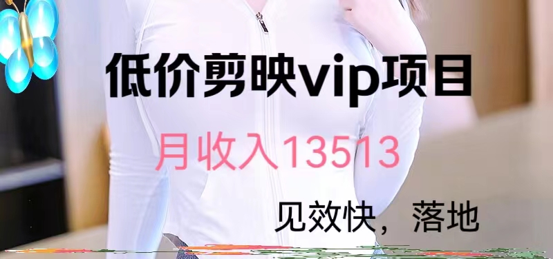 揭秘低价剪映VIP项目，月入13000+-易购网创