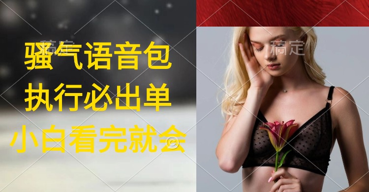 执行就出单，日入2000+，超火骚气语音包，小白看完课程就能马上实操-易购网创
