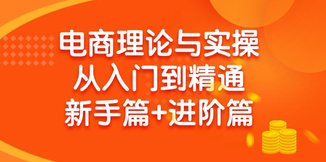 电商理论与实操从入门到精通 新手篇+进阶篇-易购网创