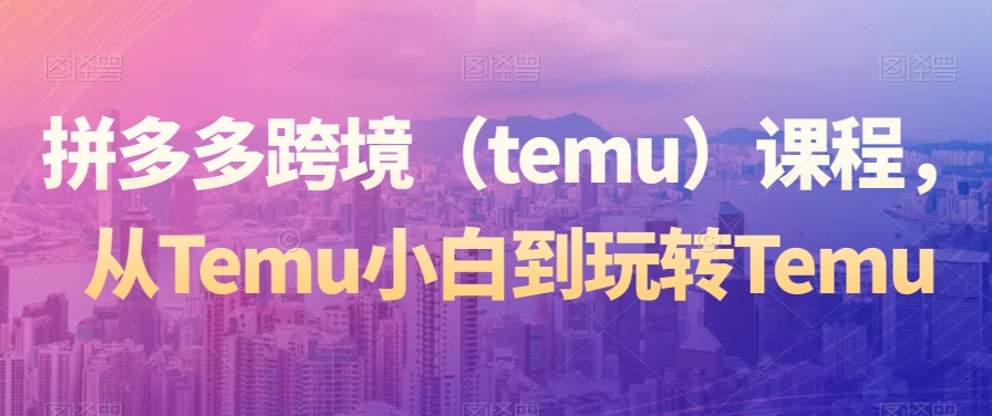 拼多多跨境（temu）课程，从Temu小白到玩转Temu-易购网创