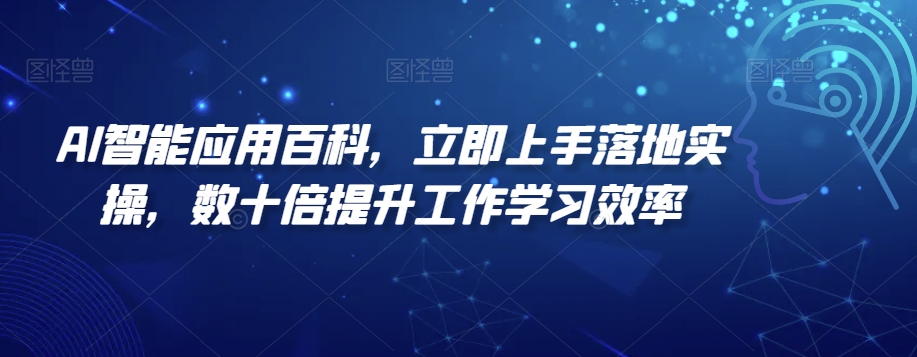 AI智能应用百科，​立即上手落地实操，数十倍提升工作学习效率-易购网创