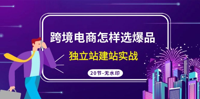跨境电商怎样选爆品，独立站建站实战（20节高清无水印课）-易购网创