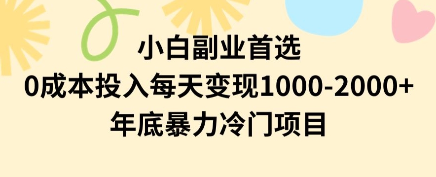 小白副业首选，0成本投入，每天变现1000-2000年底暴力冷门项目【揭秘】-易购网创