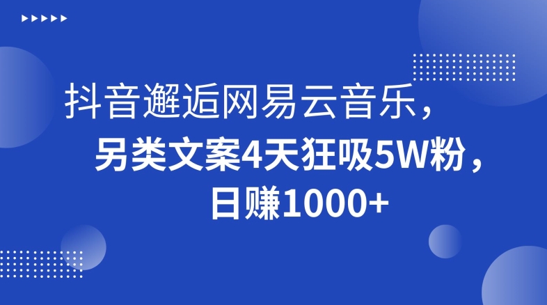 抖音邂逅网易云音乐，另类文案4天狂吸5W粉，日赚1000+【揭秘】-易购网创