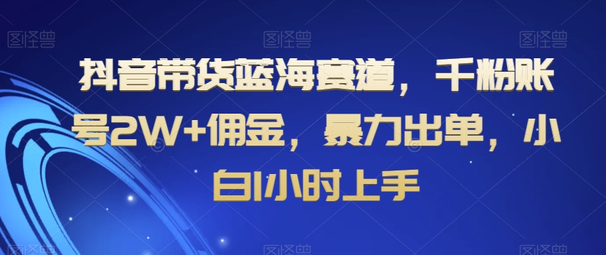 抖音带货蓝海赛道，千粉账号2W+佣金，暴力出单，小白1小时上手【揭秘】-易购网创