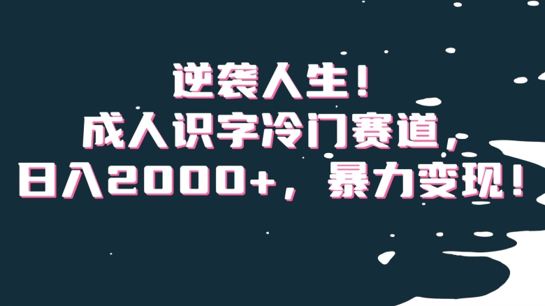 逆袭人生！成人识字冷门赛道，日入2000+，暴力变现！【揭秘】-易购网创