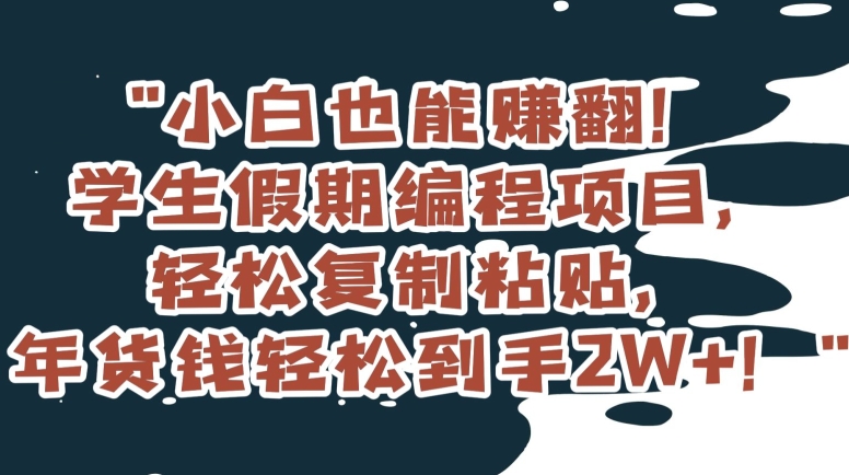 小白也能赚翻！学生假期编程项目，轻松复制粘贴，年货钱轻松到手2W+【揭秘】-易购网创