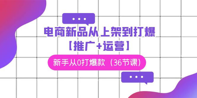 电商 新品从上架到打爆【推广+运营】，新手从0打爆款（36节课）-易购网创