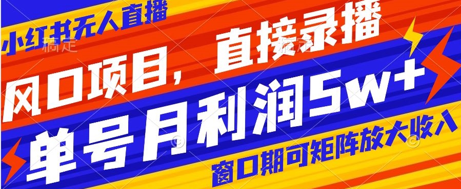 风口项目，小红书无人直播带货，直接录播，可矩阵，月入5w+【揭秘】-易购网创