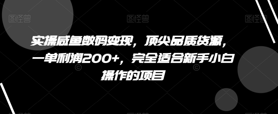 实操咸鱼数码变现，顶尖品质货源，一单利润200+，完全适合新手小白操作的项目【揭秘】-易购网创