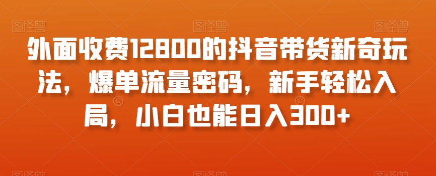 外面收费12800的抖音带货新奇玩法，爆单流量密码，新手轻松入局，小白也能日入300+【揭秘】-易购网创