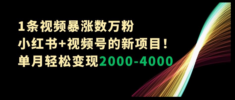 1条视频暴涨数万粉–小红书+视频号的新项目！单月轻松变现2000-4000【揭秘】-易购网创
