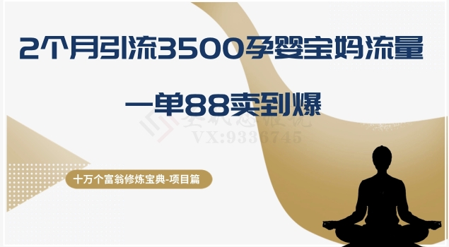 十万个富翁修炼宝典之13.2个月引流3500孕婴宝妈流量，一单88卖到爆-易购网创