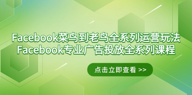 Facebook-菜鸟到老鸟全系列运营玩法+Facebook-专业广告投放全系列课程-易购网创