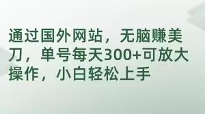 通过国外网站，无脑赚美刀，单号每天300+可放大操作，小白轻松上手【揭秘】-易购网创