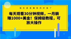 每天观看30分钟视频，一月躺赚1000+美金！保姆级教程，可放大操作【揭秘】-易购网创