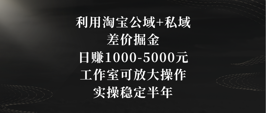 利用淘宝公域+私域差价掘金，日赚1000-5000元，工作室可放大操作，实操…-易购网创