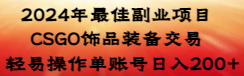 2024年最佳副业项目 CSGO饰品装备交易 轻易操作单账号日入200+-易购网创