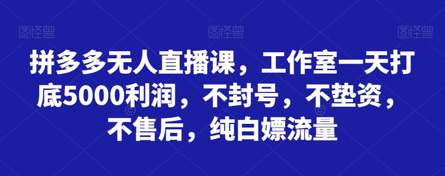 拼多多无人直播课，工作室一天打底5000利润，不封号，不垫资，不售后，纯白嫖流量-易购网创
