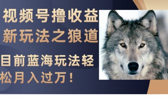 视频号撸收益新玩法之狼道，目前蓝海玩法，轻松月入过万【揭秘】-易购网创