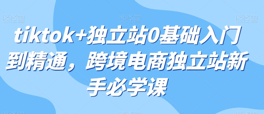 tiktok+独立站0基础入门到精通，跨境电商独立站新手必学课-易购网创