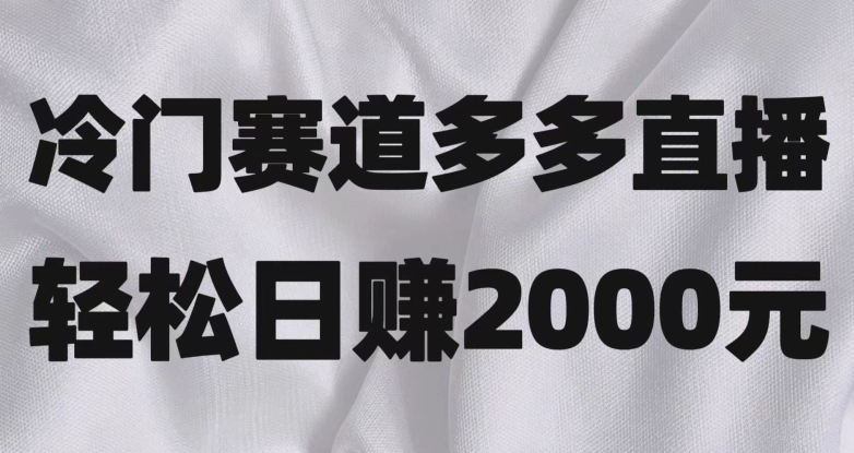 冷门赛道拼多多直播，简单念稿子，日收益2000＋【揭秘】-易购网创