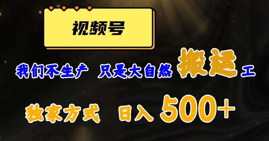 视频号轻松搬运日赚500+，一个1分钟1条原创视频【揭秘】-易购网创
