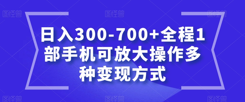 日入300-700+全程1部手机可放大操作多种变现方式【揭秘】-易购网创